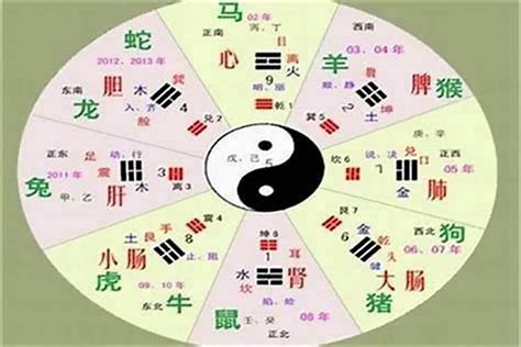 修 五行|修字的五行属性